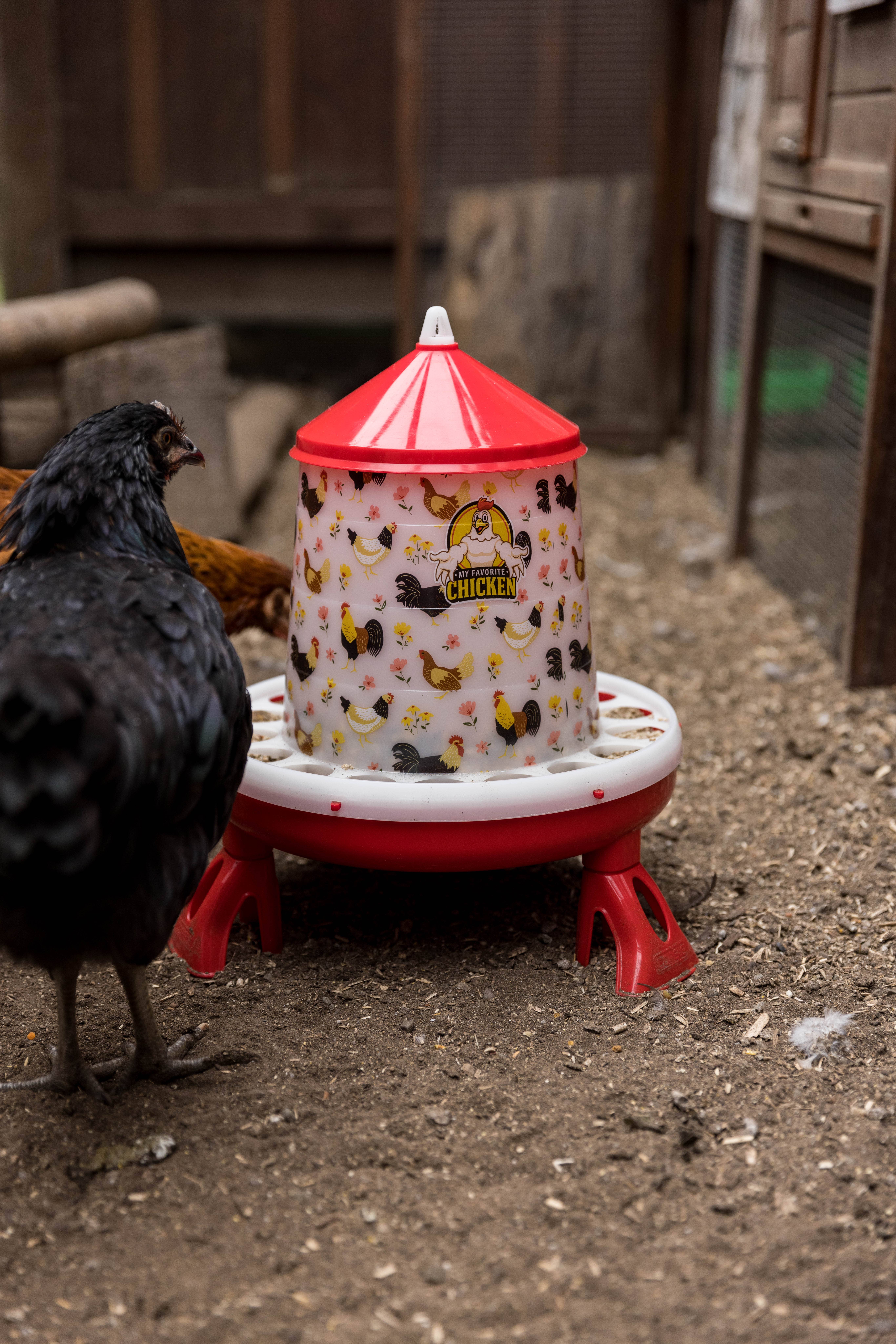 My Favorite Chicken - Wholesale Bird Feeder - 4Kg Poultry Feeder w/ Legs, Stylish Chicken Floral Design3