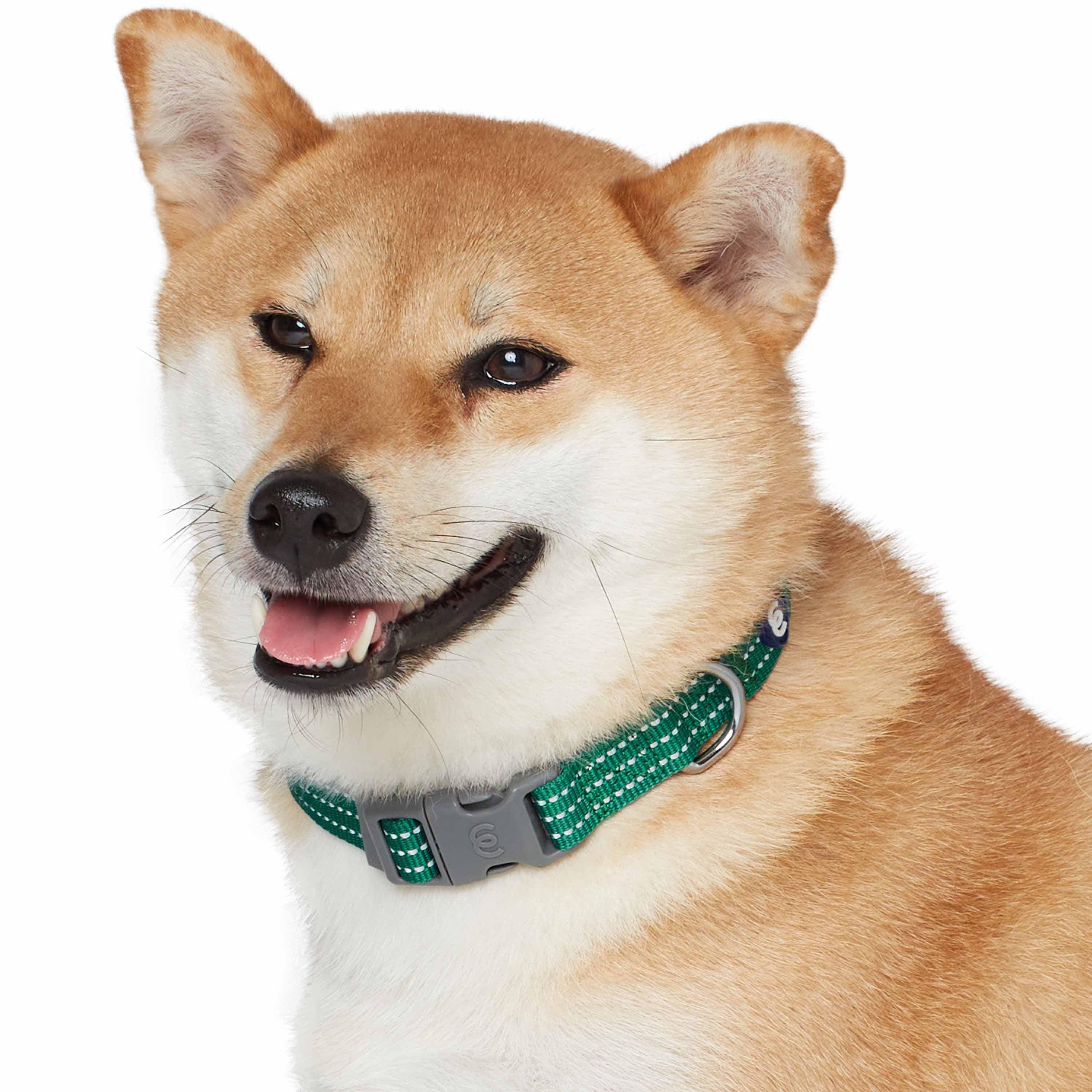 Blueberry Pet - Venta al por mayor Collar - Perros - Collar reflectante para perros Better Basic en 8 colores33