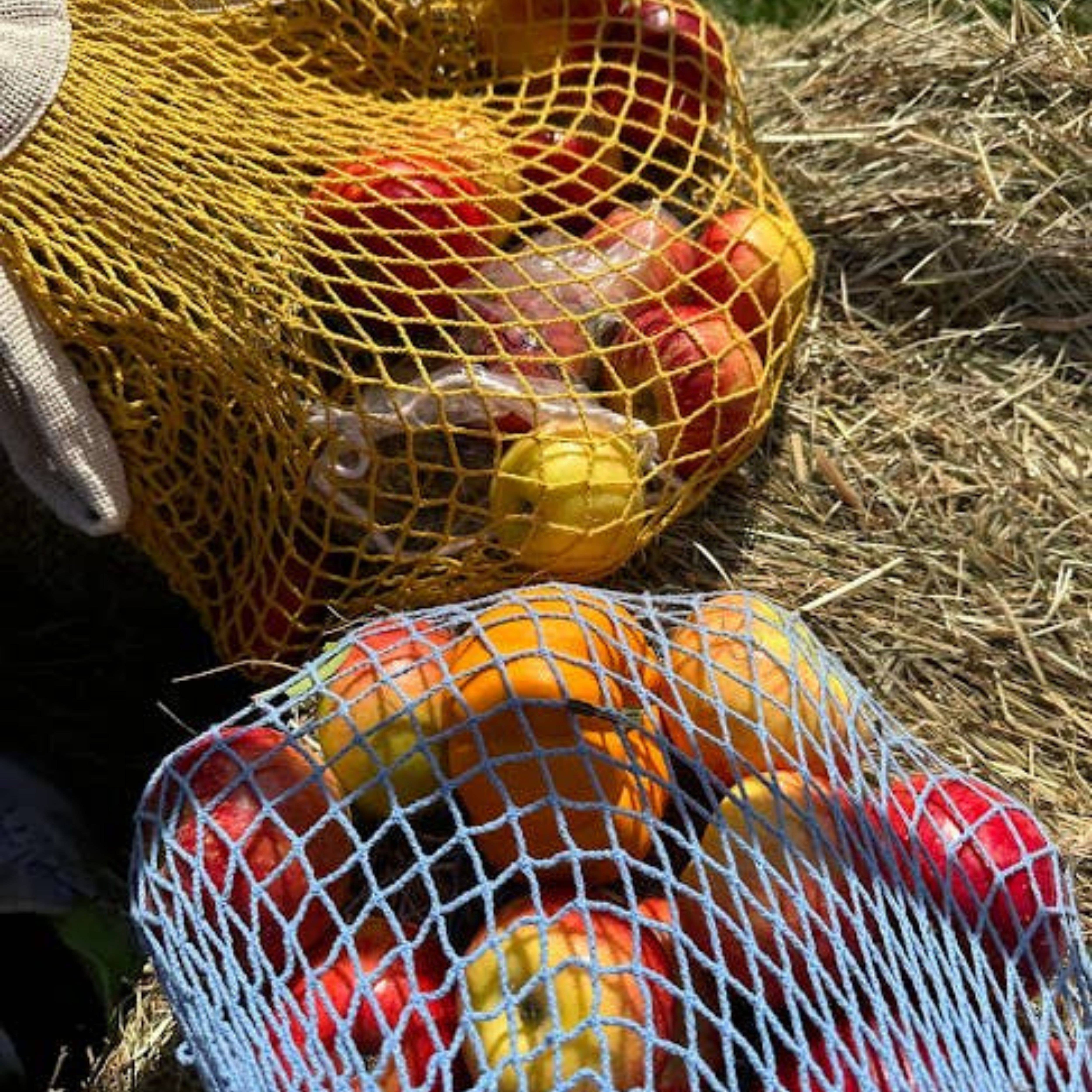 the french market bag no.2 in yolk for wholesale on Faire3