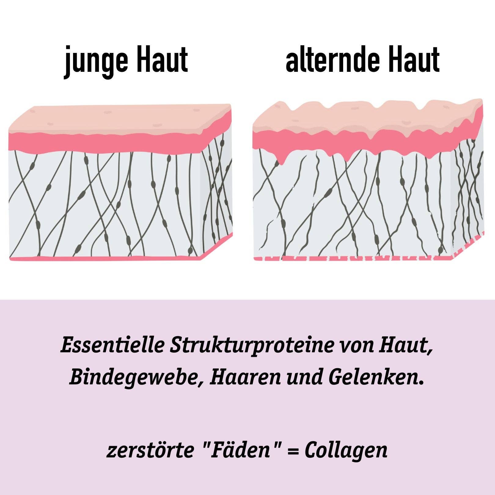 Organic Workout - Venta al por mayor Proteínas y superalimentos en polvo - Polvo de colágeno marino neutral y puro3