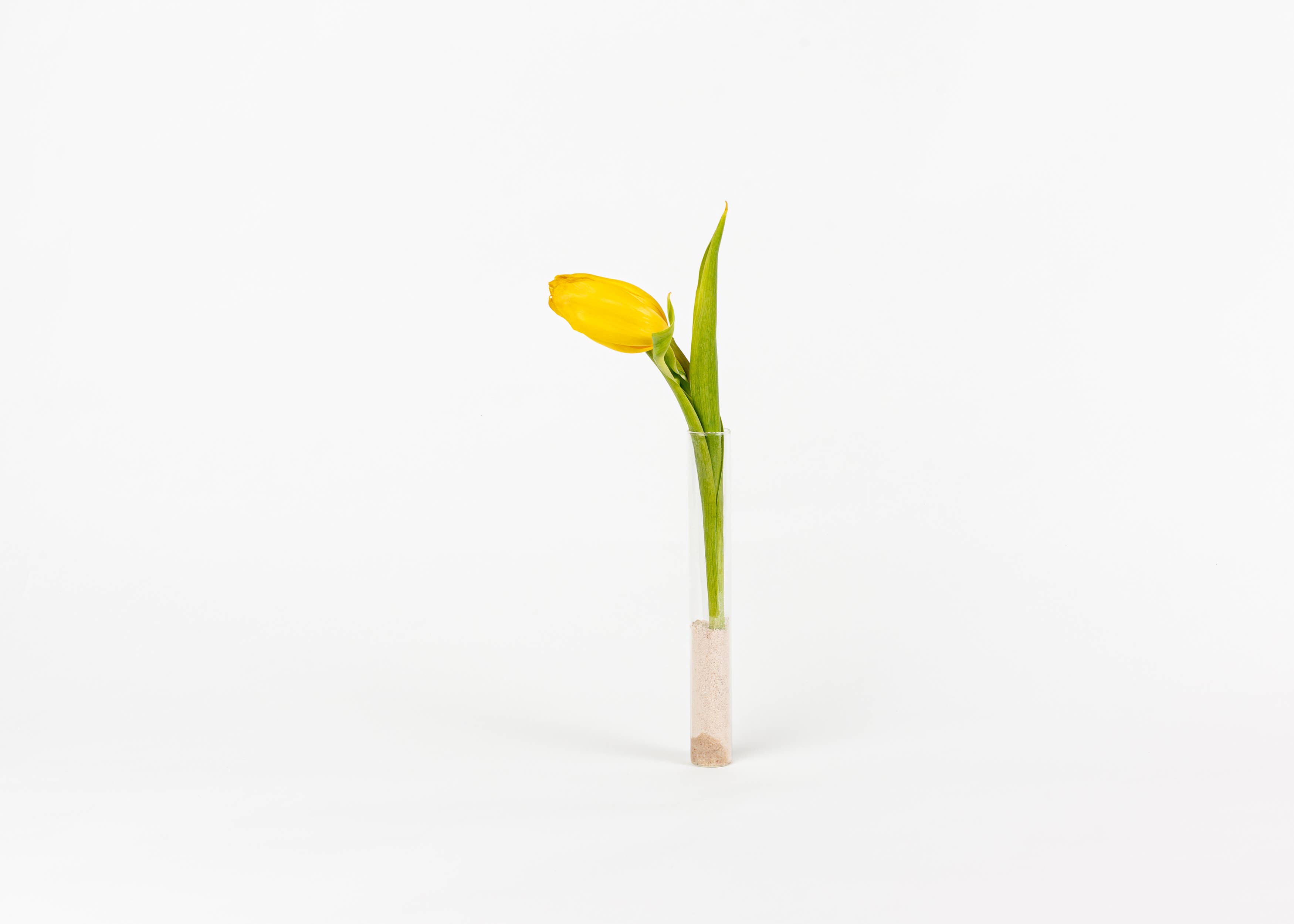 Lizush - Wholesale Bath Salts - White Label- BATH SALTS-3 types Bath Soak/Salts14