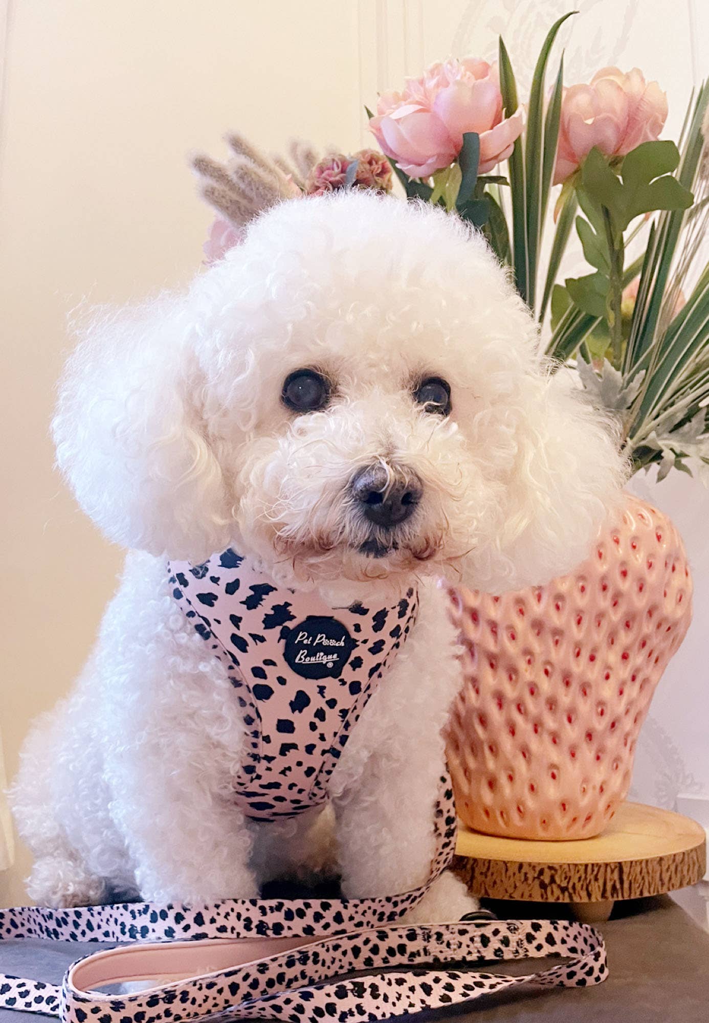 Pet Pooch Boutique - Wholesale Pet Harness - Dog - Polka Pup Noir Dog Harness  (leopard print/timeless classic)3