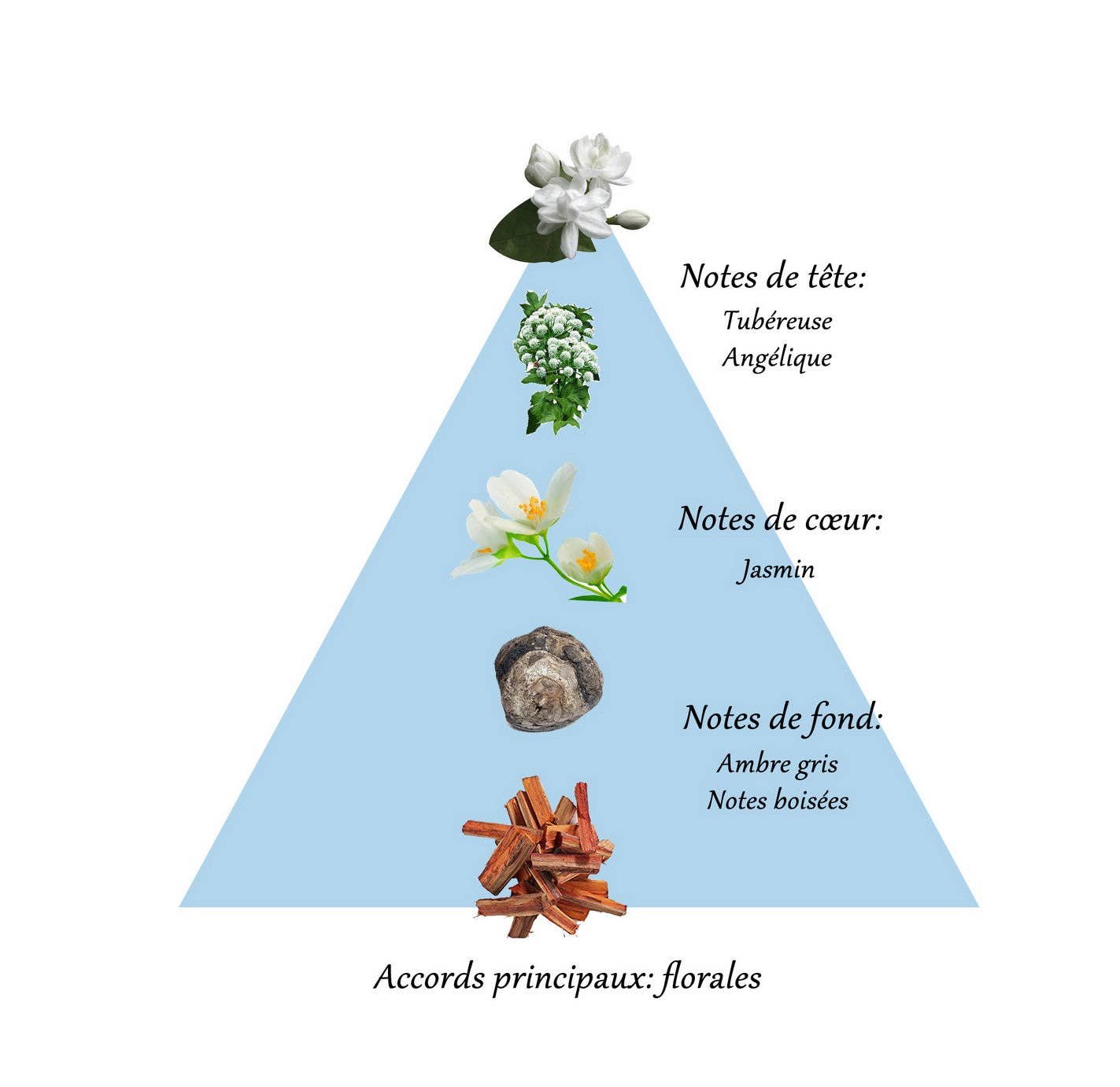 FAMILLE GRASSE PARFUMS – Großhandel Parfüm/Eau de Toilette – ERSTAUNLICHES JASMINE Ölparfüm für Frauen 10ml2