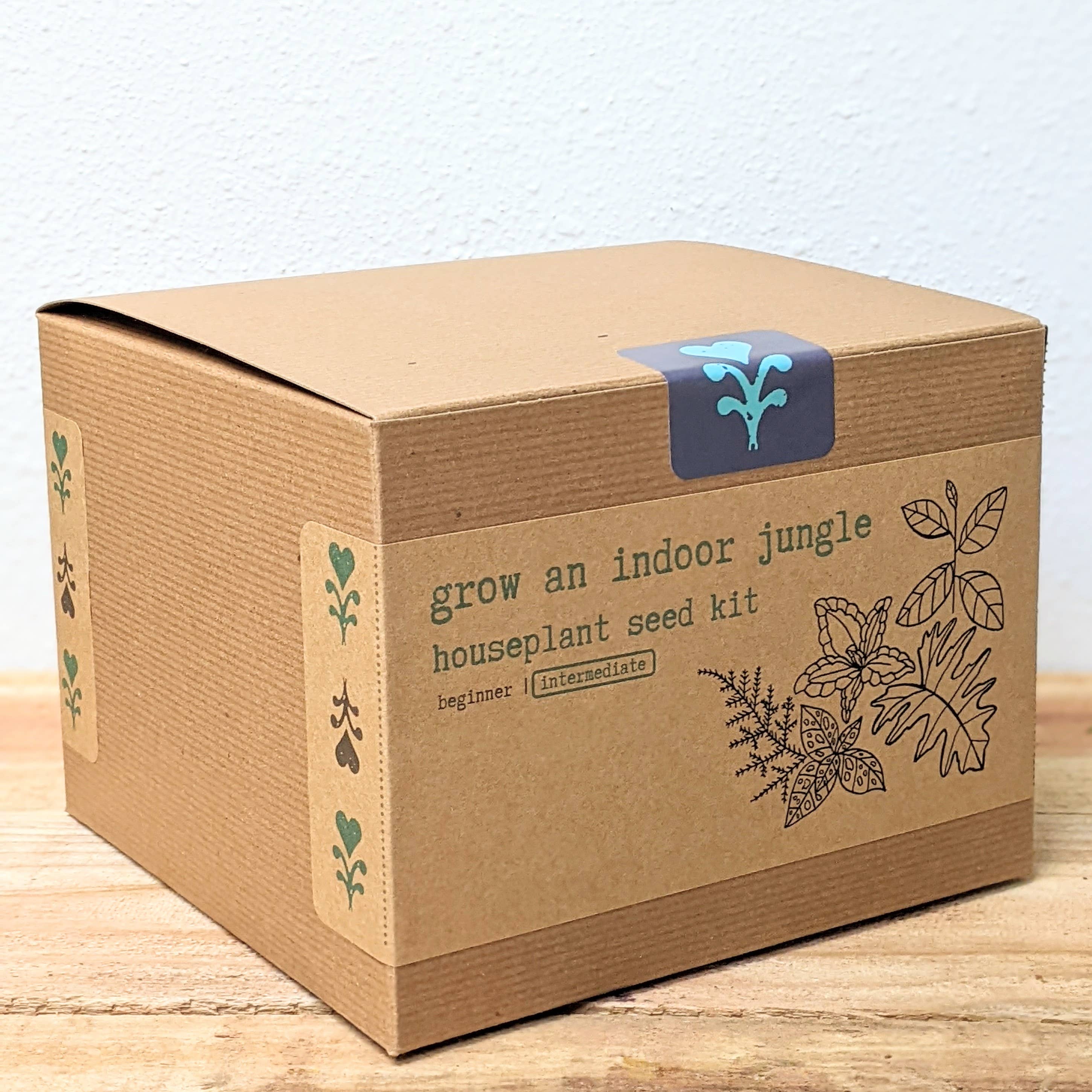 Plantflix - Vente Graines de plantes - Kit de graines pour plantes d'intérieur « Grow an Indoor Jungle »10