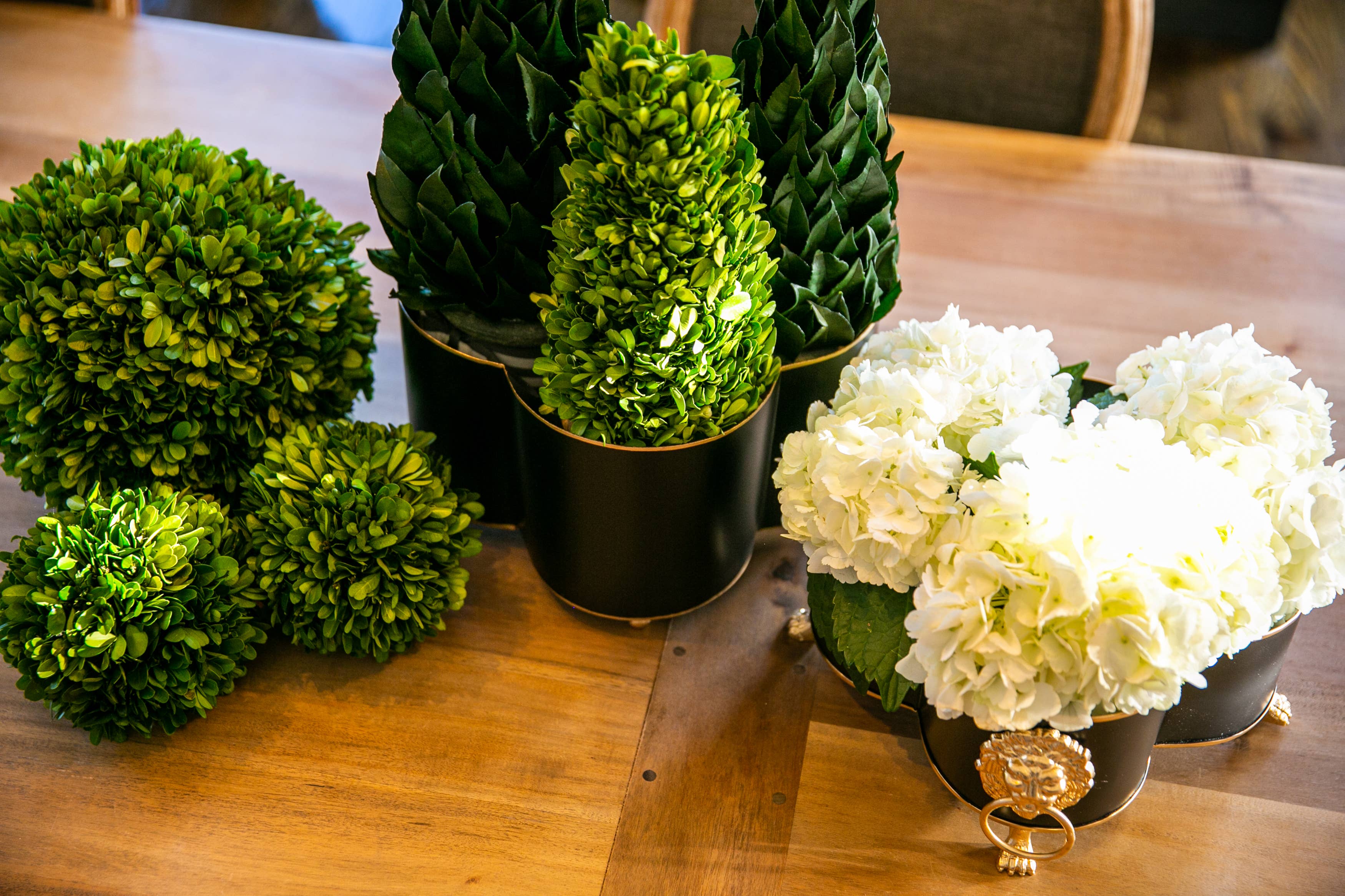 Jaye's Studio - Wholesale Plant Pot - Mattie Quatrefoil Cachepot Planter42