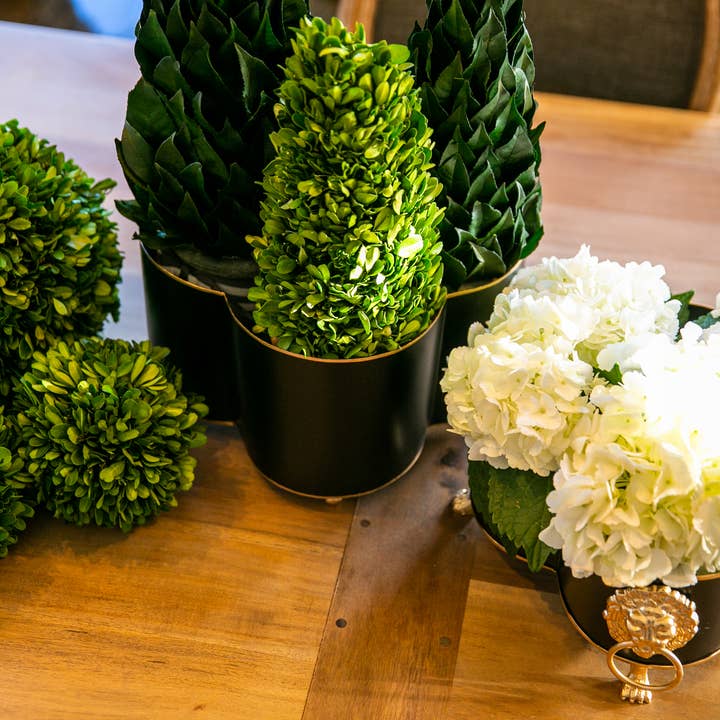 Jaye's Studio - Wholesale Plant Pot - Mattie Quatrefoil Cachepot Planter42