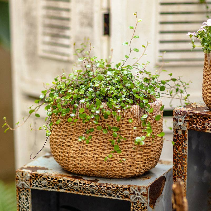 Rustic Reach - Vente Pot - Jardinière en ciment Lady Straw Basket2