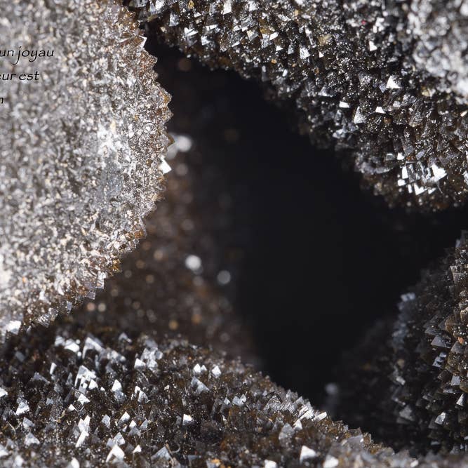 tesoro per la vendita all'ingrosso da parte di L'Ecriture D'Un Regard