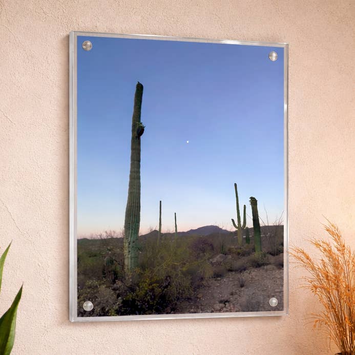 Vægmagnetramme - 4 størrelser - Nem at hænge op for engroshandel hos Canetti Design Group Inc.