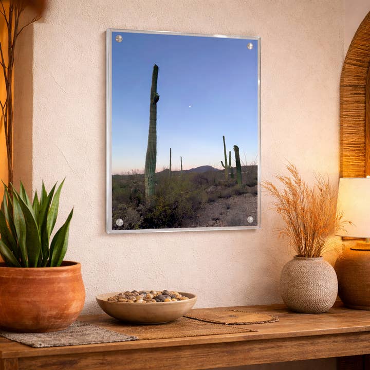 Wandmagneetlijst - 4 maten - Eenvoudig op te hangen voor wholesale door Canetti Design Group Inc.