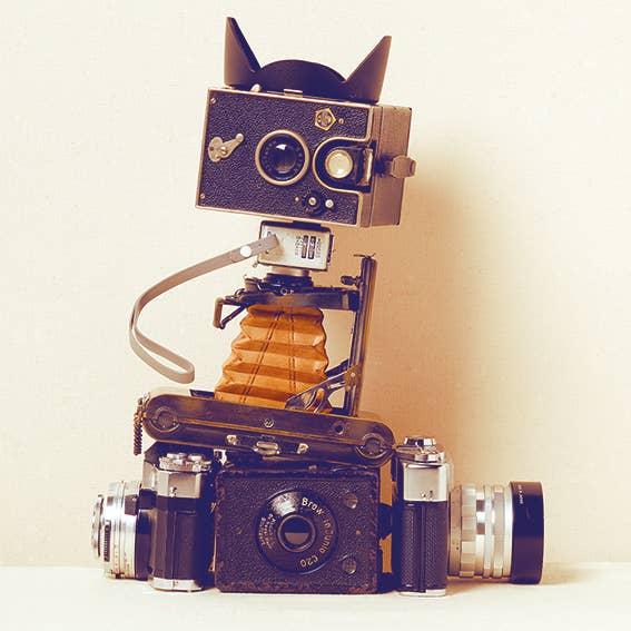 The Art Group - Vendita all'ingrosso Statuette decorative - Ian Winstanley (gatto robot) - WDC94276