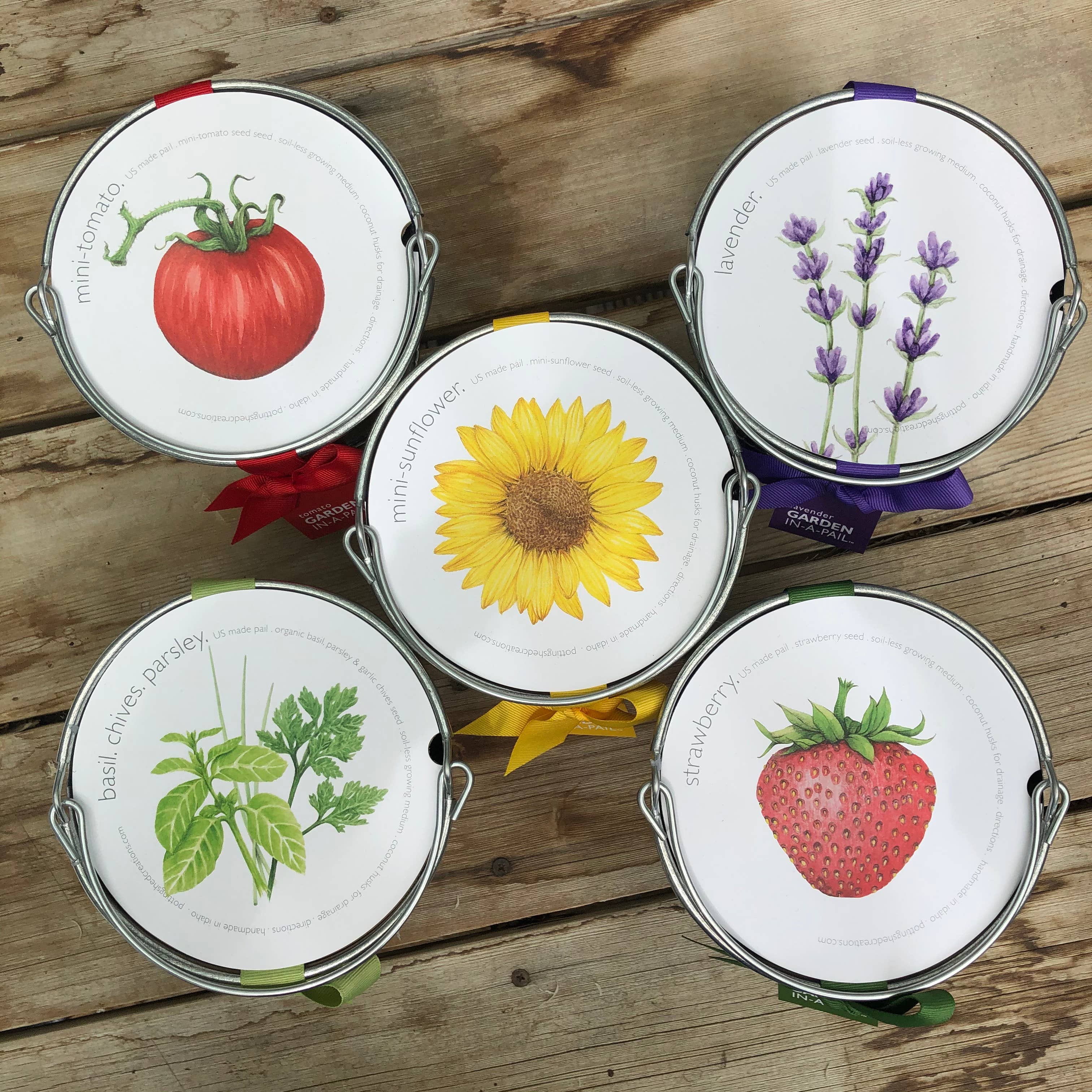 Potting Shed Creations, Ltd. - Wholesale Plant Seeds - Garden in a Pail | Herbs | Mother's Day | Spring gift6