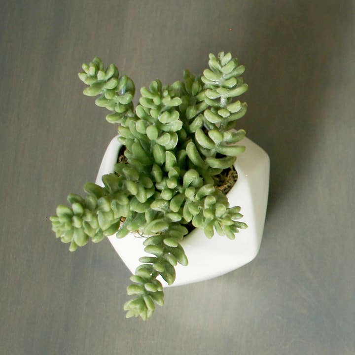 MARMEDA - Wholesale Succulent - Geometric Faux Sedum Succulent3