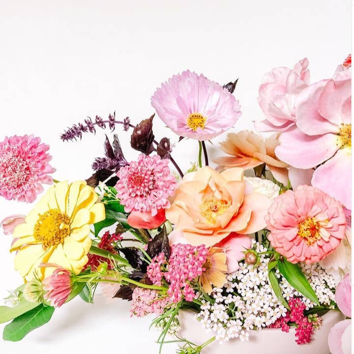 Momma Pots - Wholesale Plant Pot - 9" Pedestal Home and Garden Bowls21