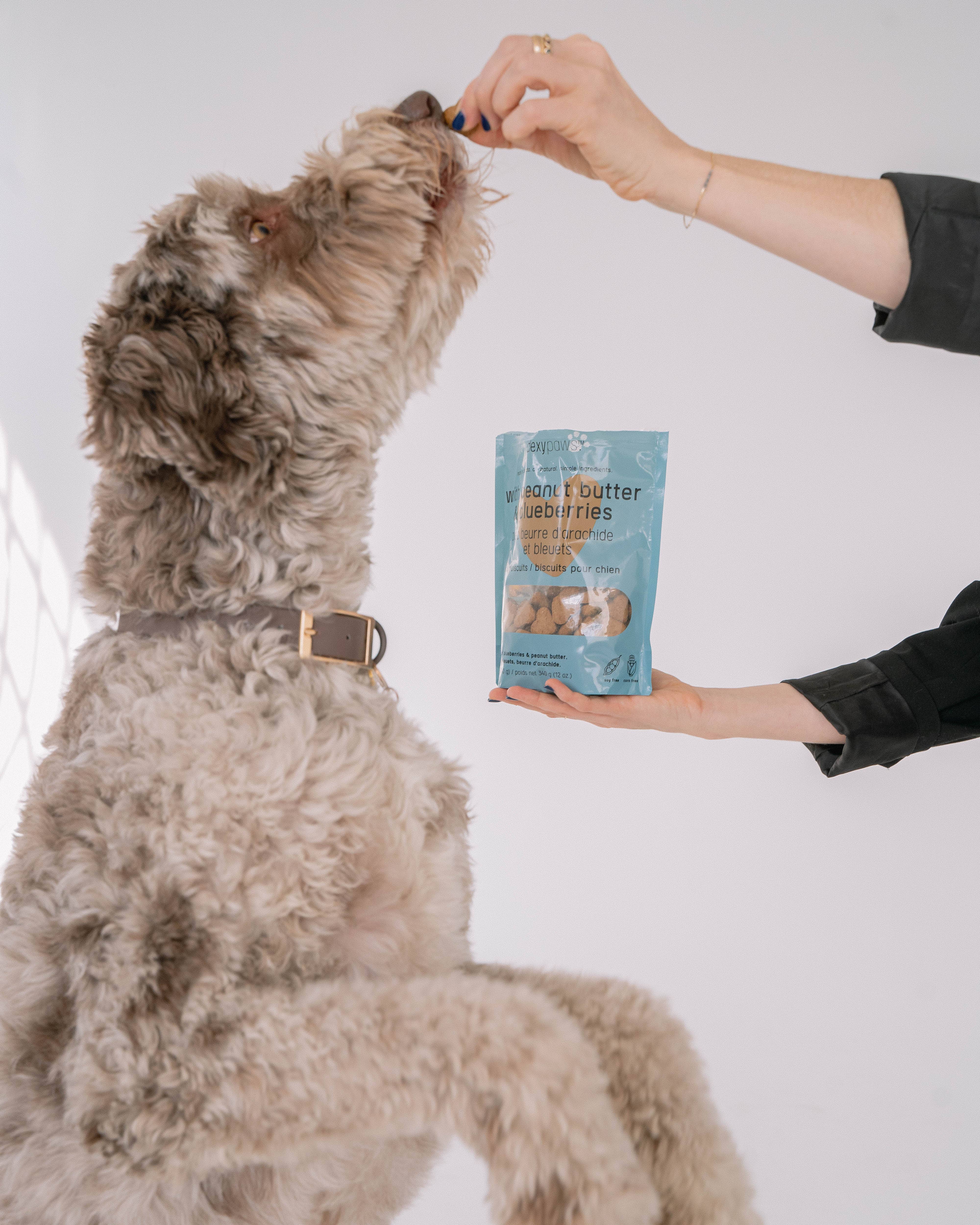 dexypaws - Vendita all'ingrosso Snack - Cani - Dolcetti per cani al burro di arachidi e mirtilli4