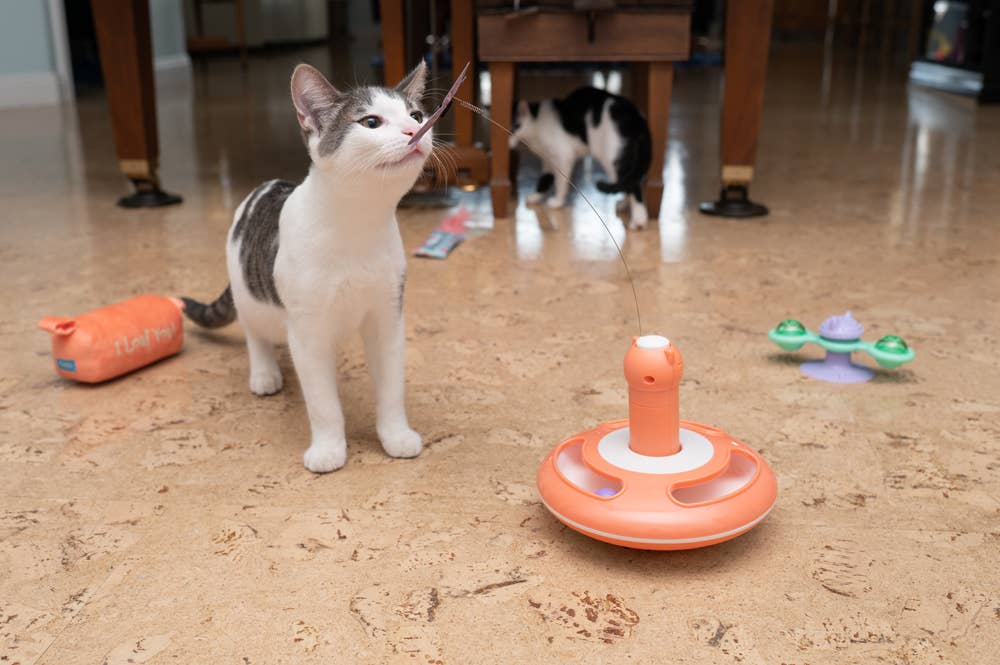 Caitec Inc - Wholesale Pet Toy - Cat - NALA cat toy Motorized Butterfly Spinner1