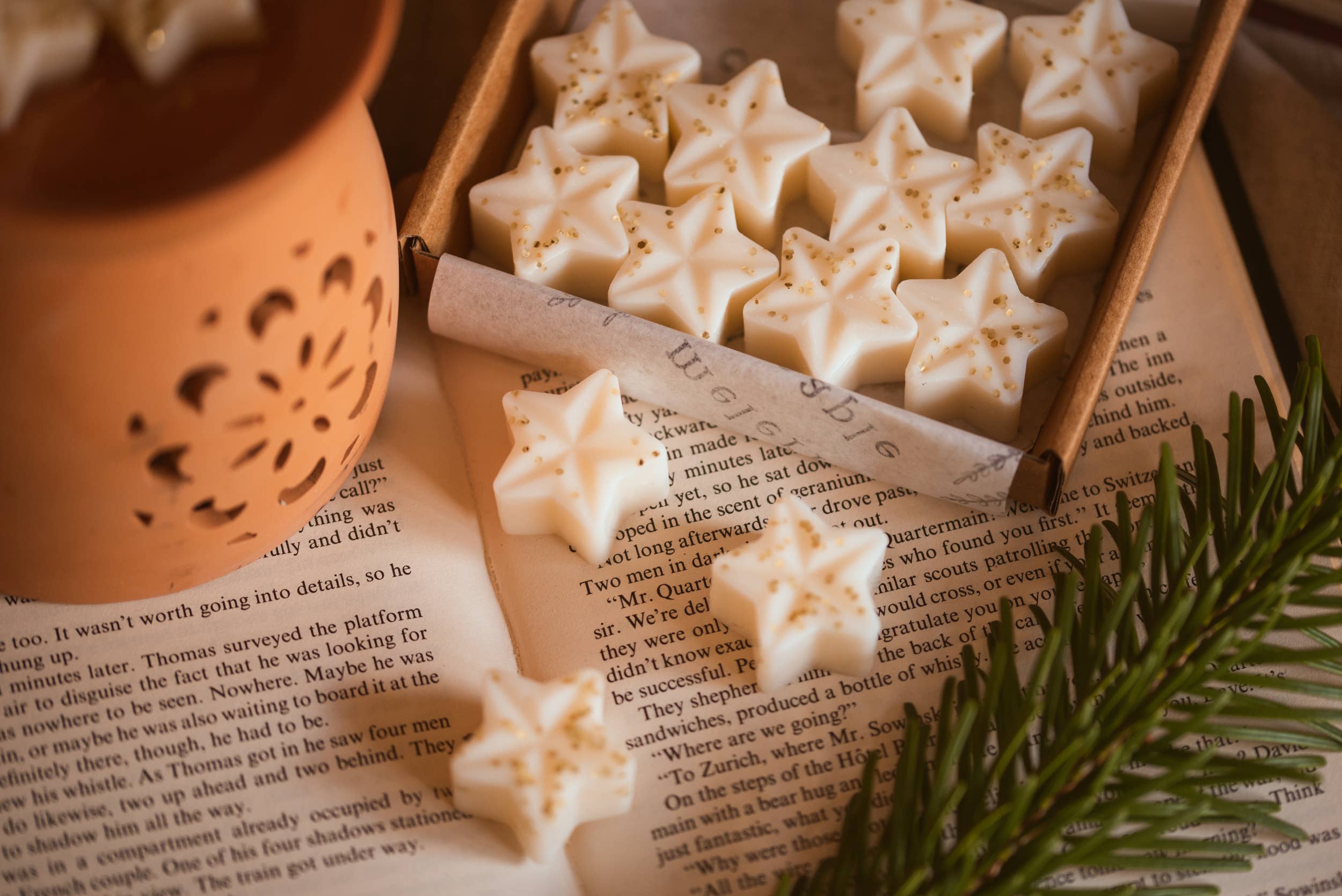 Meleri and Maple Co – wholesale Wax melt – Starry Night - A Box of Christmas Star Wax Melts / Winter1