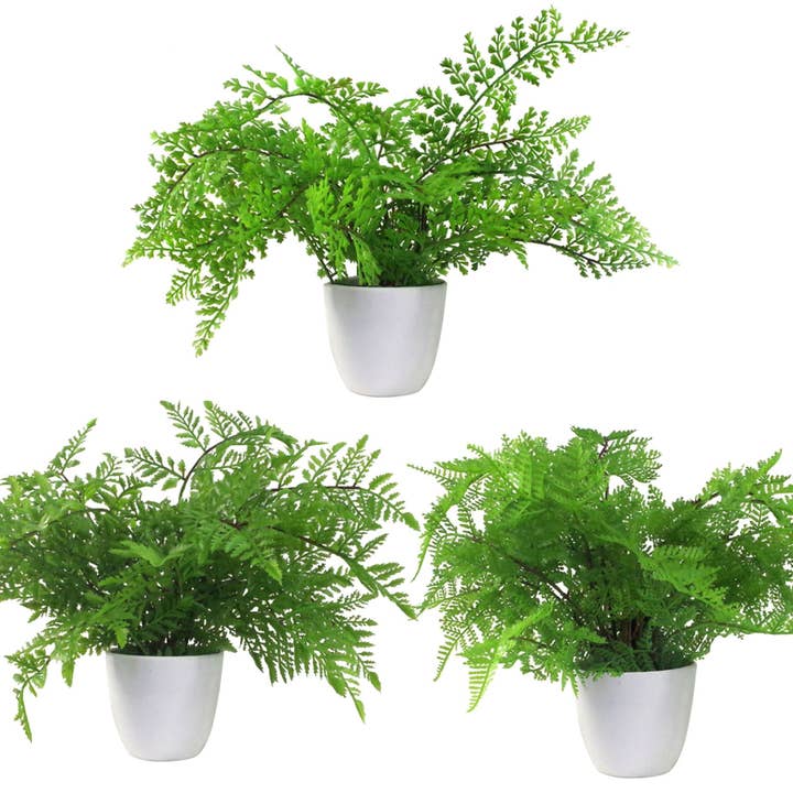 Leaf Design UK LTD - Wholesale Kunstplant - Kunstvarens & plantenpakket 3 x 30 cm Botanische Varen 30 cm0