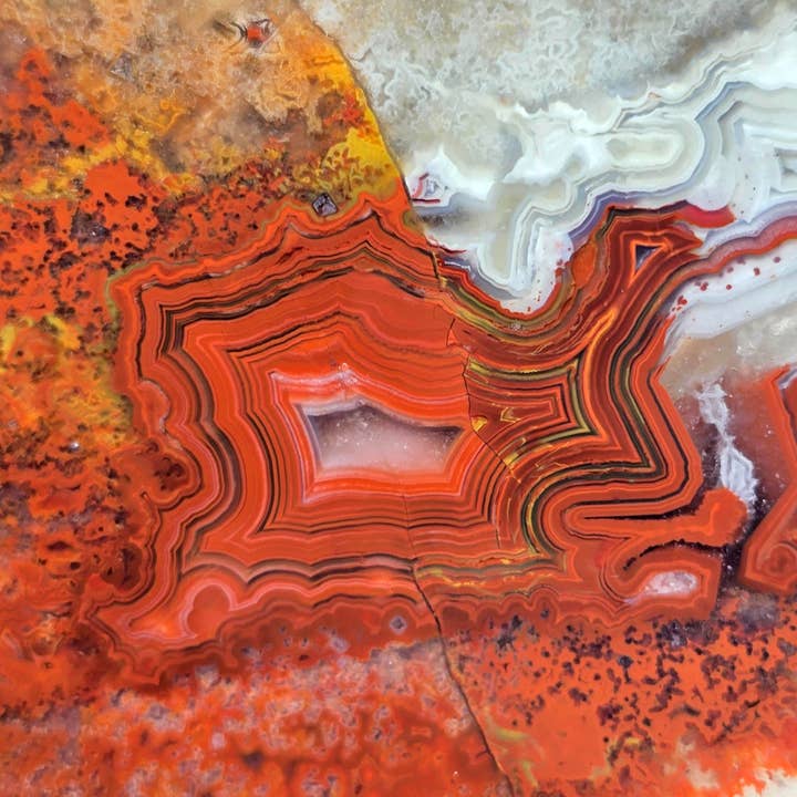 Laguna Lace Agate Slab - Lace Circles Quartz River for wholesale by Lapidary Central