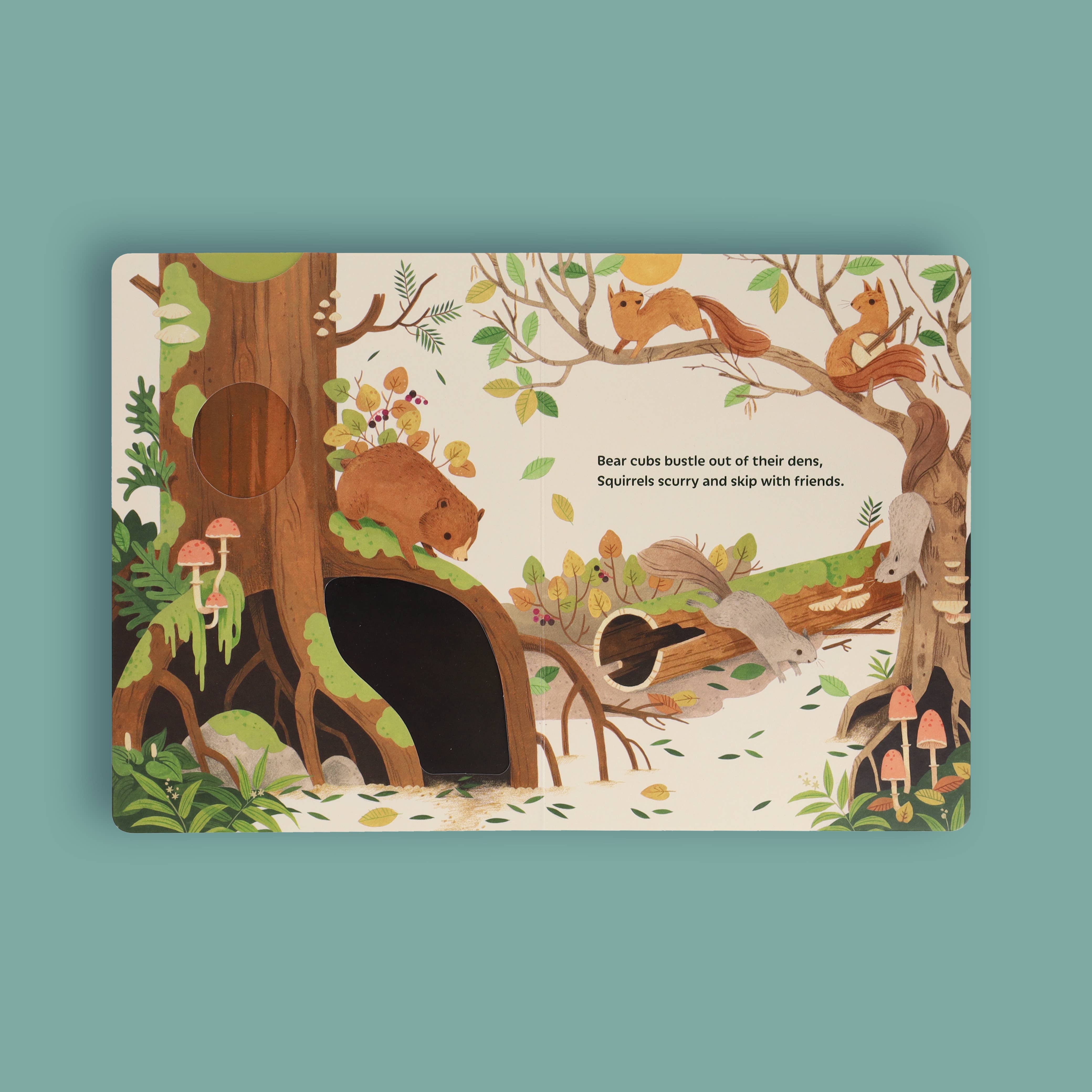 Chronicle Books - Wholesale Preschool Book (3-5) - Sunrise Dance10