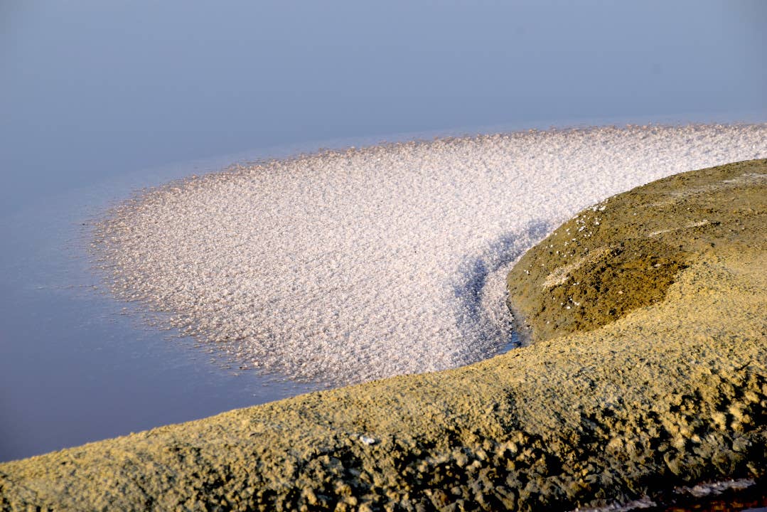 Artisans du sel - Wholesale Salt - Coarse Guerande Salt Gross Exception 1Kg3