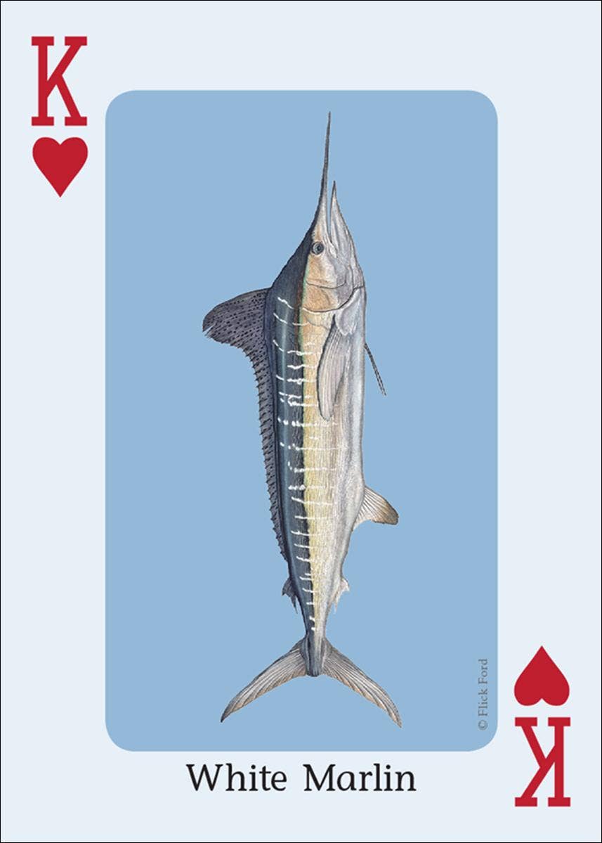 AdventureKEEN - Wholesale Playing Cards - Saltwater Fish of Gulf & Atlantic Playing Cards5