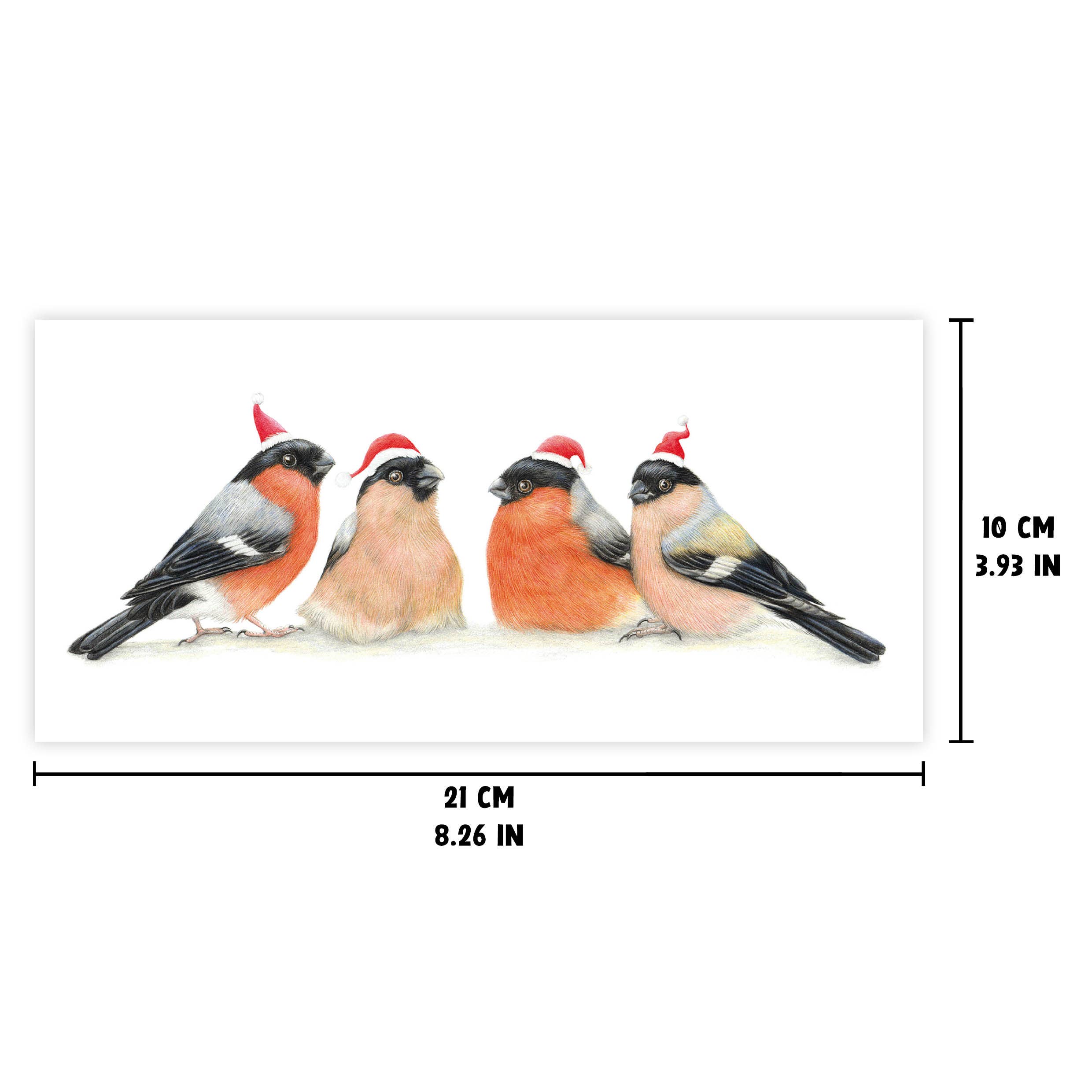 Beast of Paradise – Engroshandel Julekort – Julekort, Bird Holiday Card, Dyr lykønskningskort2