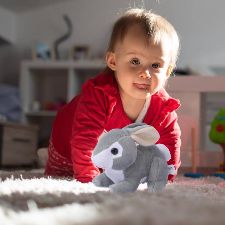 Dimple - Wholesale Stuffed/Plush Toy - Kids & Baby - Baby Bunny Stuffed Animal - Baby Plush Toy Gift for Kids3