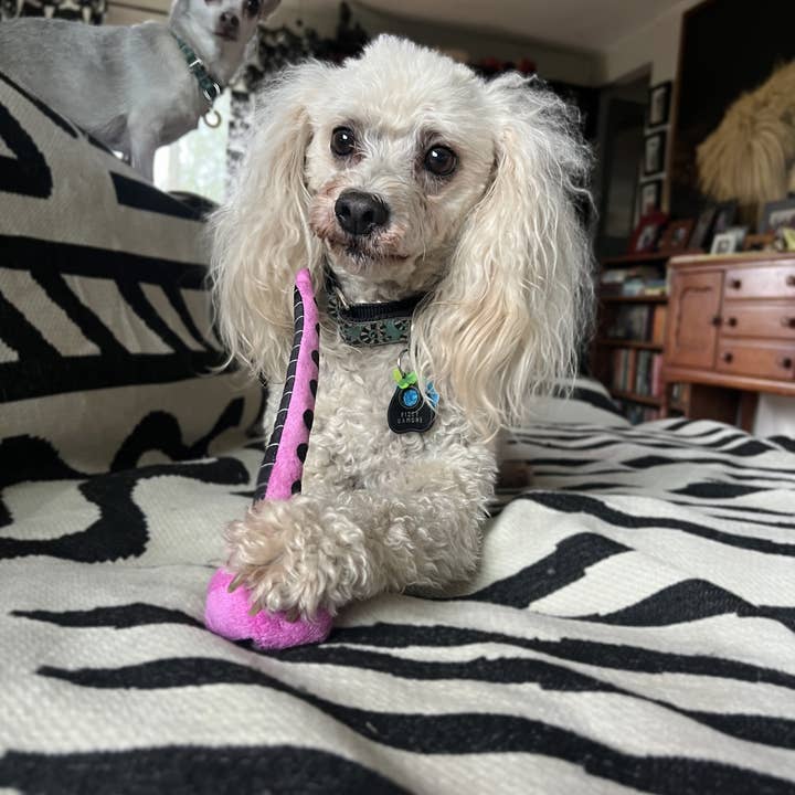 Doris Bizarro - Wholesale Pet Plush Toy - Dog - Pink Eye Jr.1