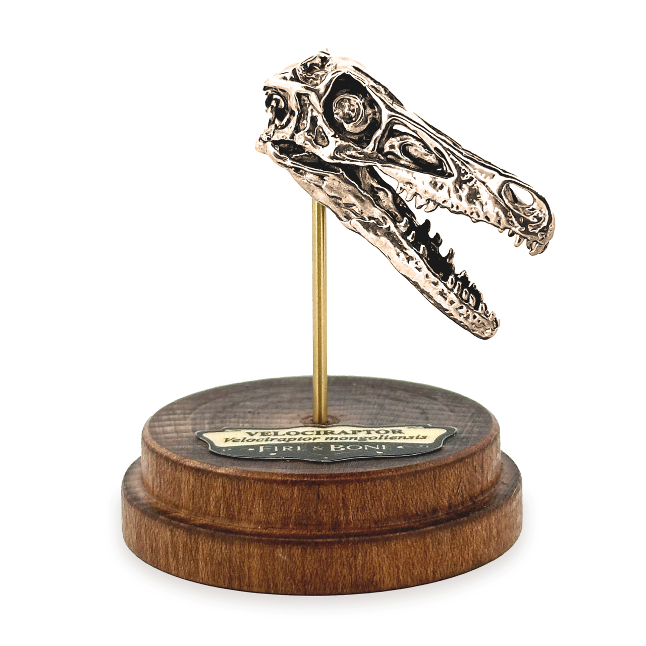 Fire & Bone - Wholesale Pendant/Charm Necklace - Velociraptor4