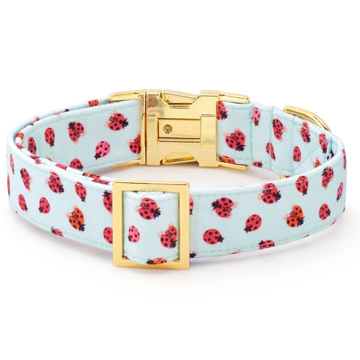 The Foggy Dog - Wholesale Pet Collar - Dog - Love Bug Spring Dog Collar