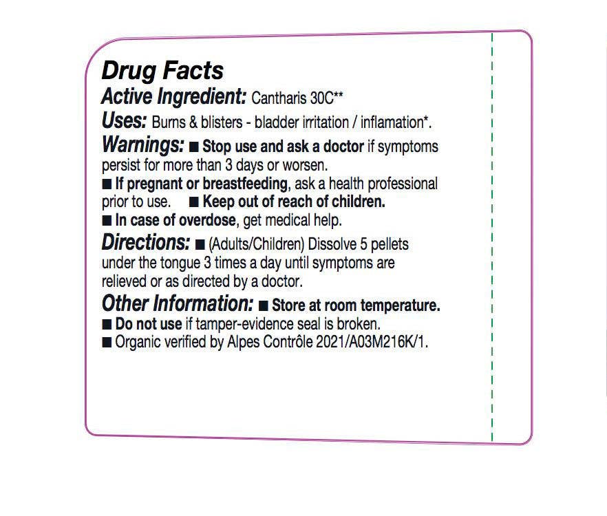 Ollois - Wholesale Oral Supplement/Vitamin - Olloïs Cantharis 30C Lactose Free Organic kosher, 80 Pellets2