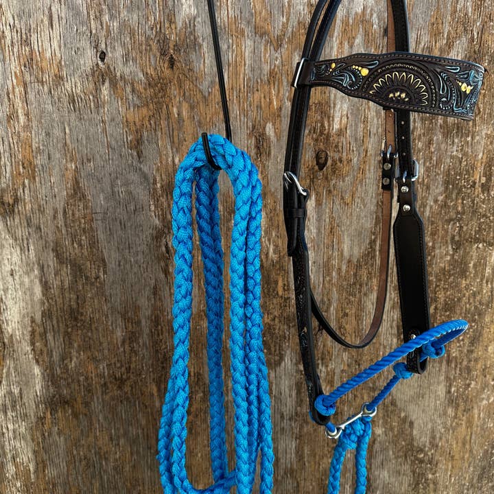 Rodeo Drive - Wholesale Horseback Riding Gear - Dark Oil Floral Hand Painted Loping Hackamore #LHK001