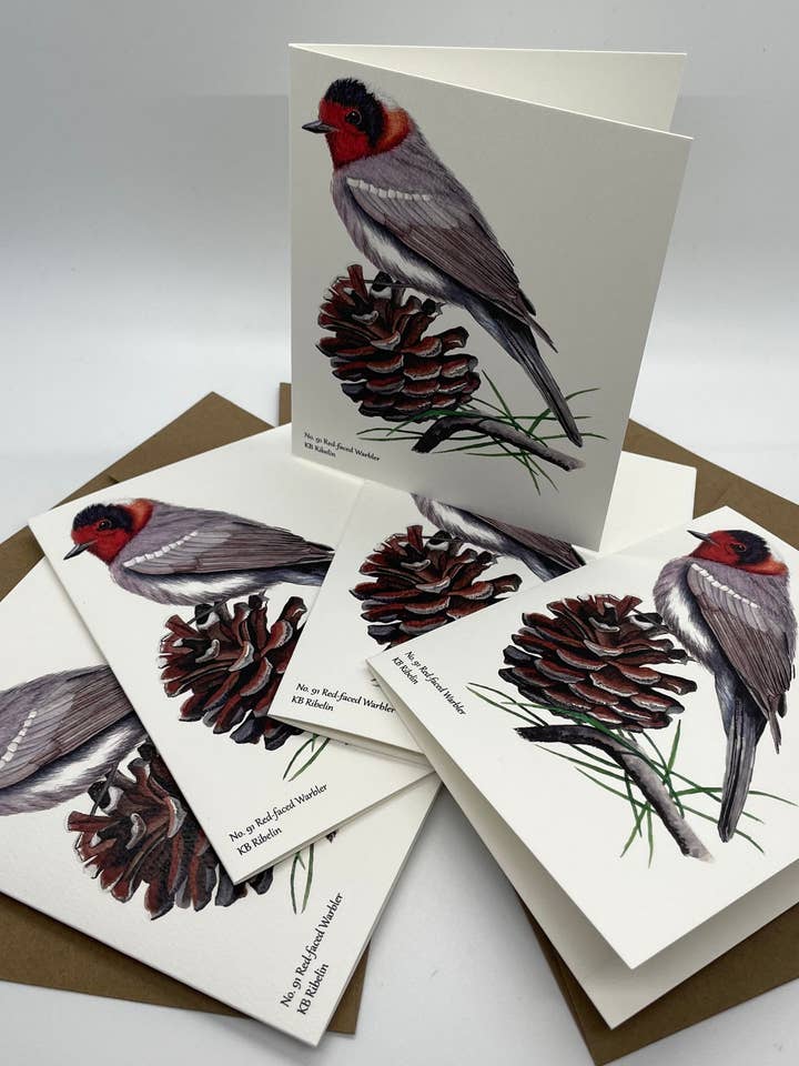 Rödkindad sångare - Kort med kuvert för wholesale av Bird Art by KB