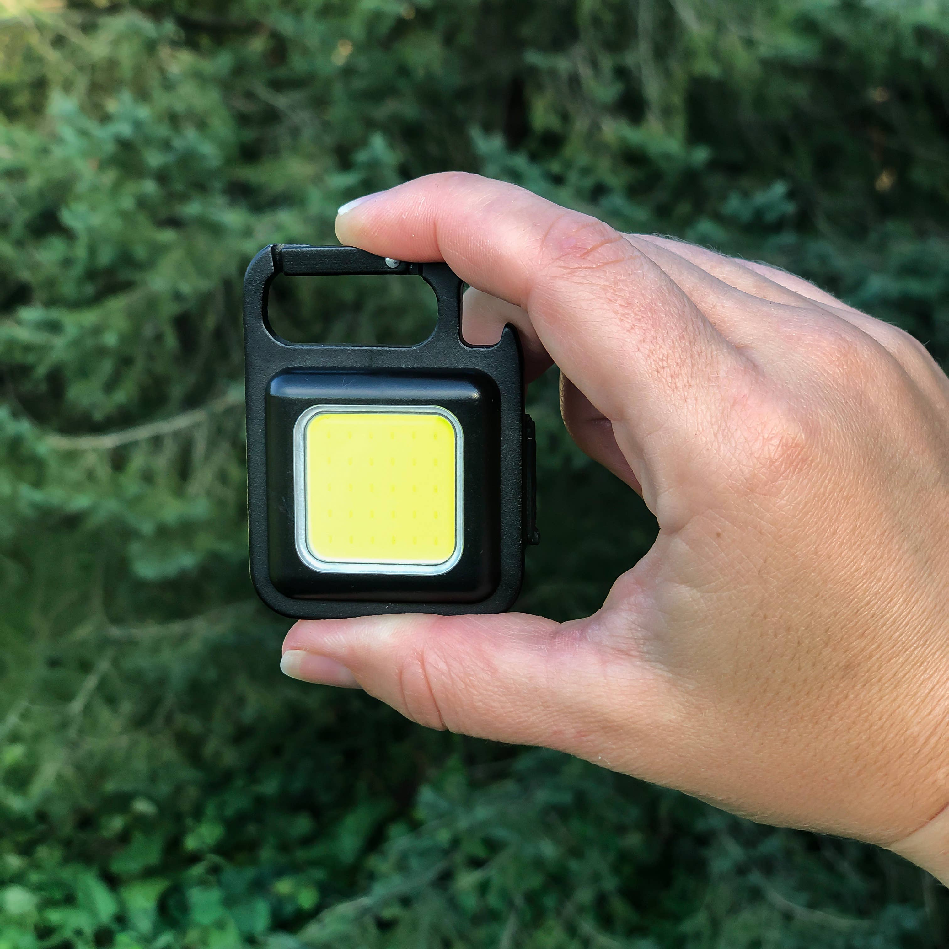 Flipo Group, Ltd. - Wholesale Handheld Flashlight - Neutron 600-Lumen Rechargeable Mini Task Light Set Of 34