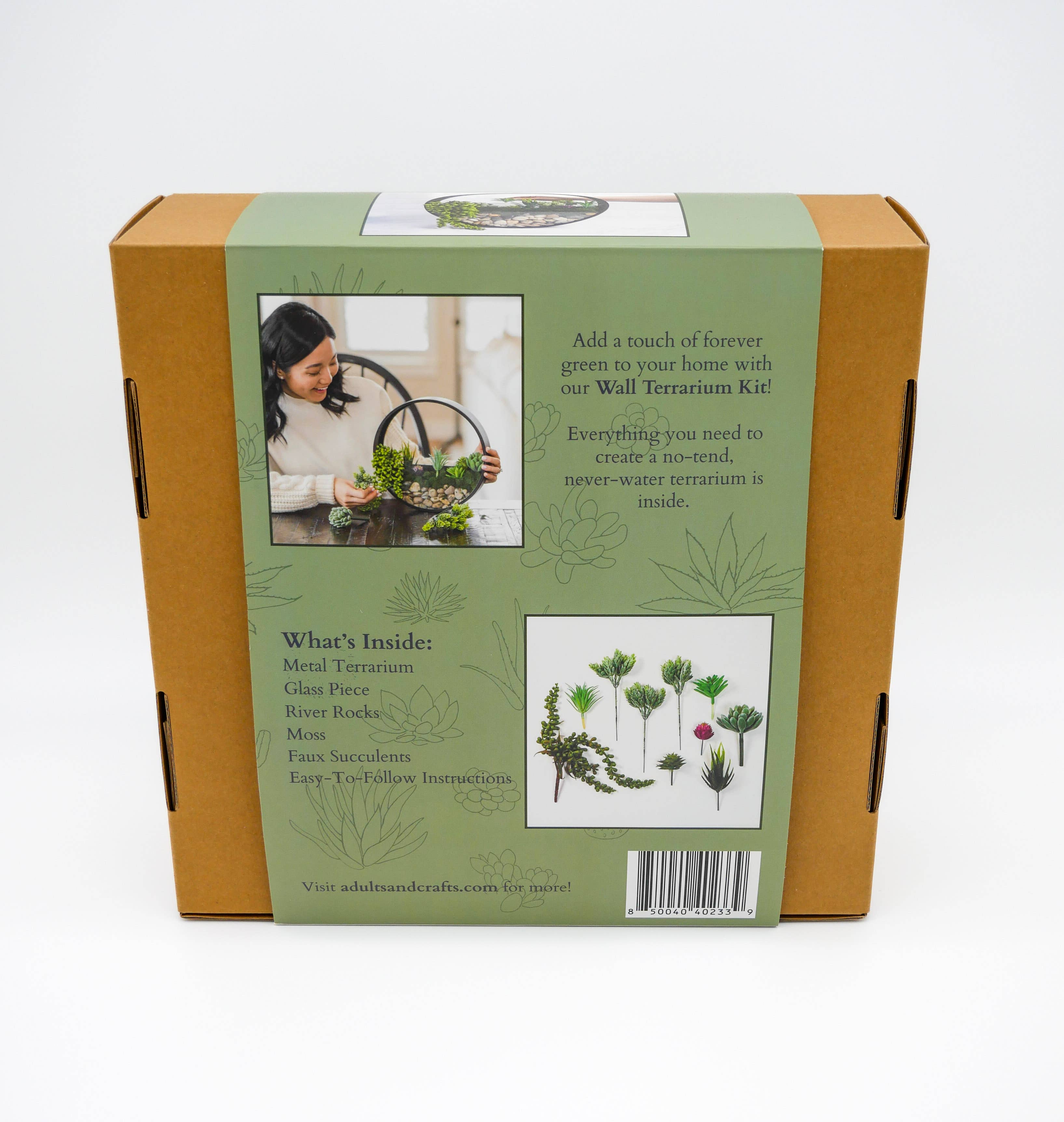 Adults & Crafts - Wholesale DIY Craft Kit - Wall Terrarium Craft Kit 1