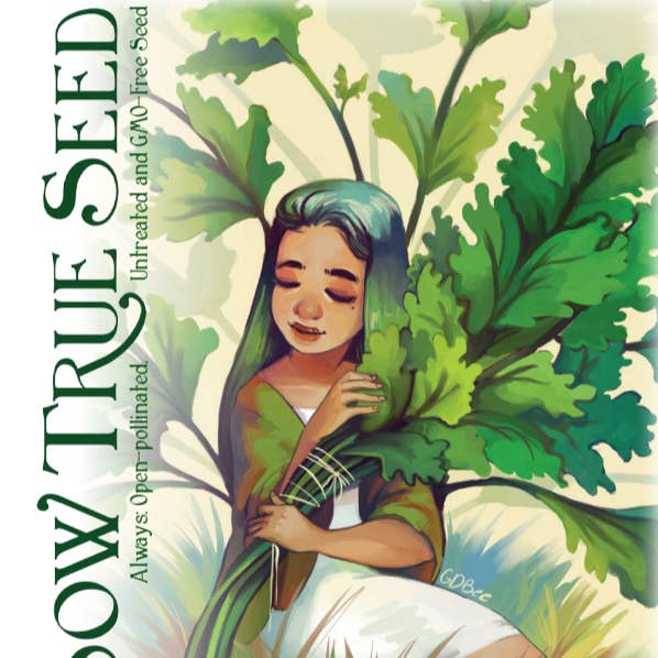 Sow True Seed - Wholesale Plant Seeds - Cilantro Seeds, ORGANIC