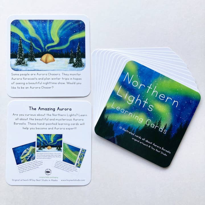 Tiny Nest Studio - Venta al por mayor Tarjetas de aprendizaje - Niños y bebés - Tarjetas de aprendizaje Northern Lights6