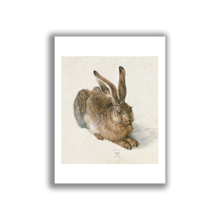 Impression d'art Le Lièvre par Dürer art mural non encadré pour la vente par Go To Design