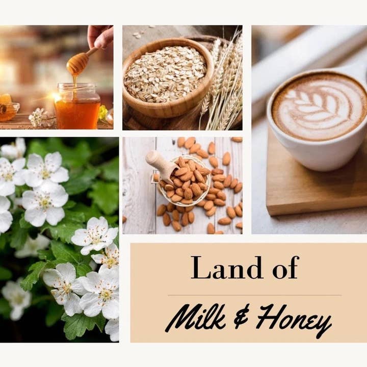 Miller Candle Co. - Wholesale Jar/Filled Candle - Land of Milk & Honey Candle