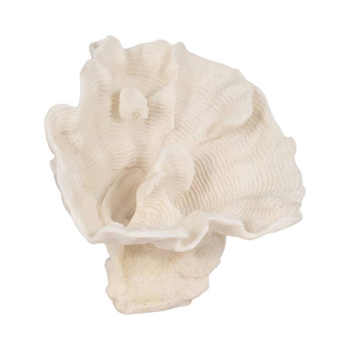 Sagebrook Home - Wholesale Decorative Figurine - Decorative Figurine - Ivory Resin Coastal Coral Fan, 12 in.4