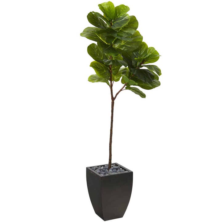 Arbre artificiel à feuilles de figuier de 5,5’ dans un pot noir (toucher réaliste) pour la vente par Silk Flower Depot