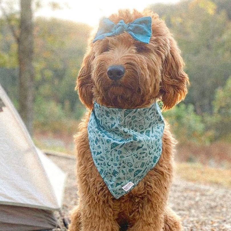 Green Camper Dog Bandana | Sage Minimal Camp Outdoor Pet Scarf for wholesale on Faire1