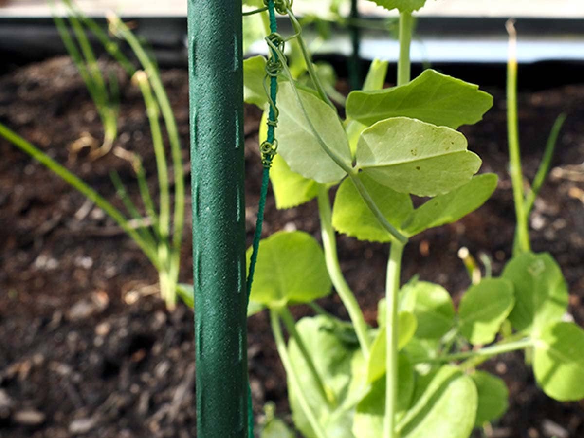 JARDIN Y NATURA OUTDOOR & GARDEN PRODUCTS SL - Wholesale Trellis - 150cm plasticized metal tutor - TUTOFIT 1505