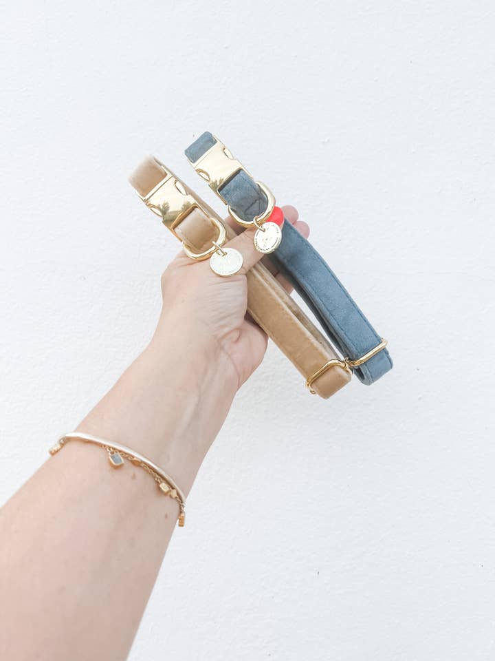 Petrol Velvet Dog Collar for wholesale by The Spotted Dog Company