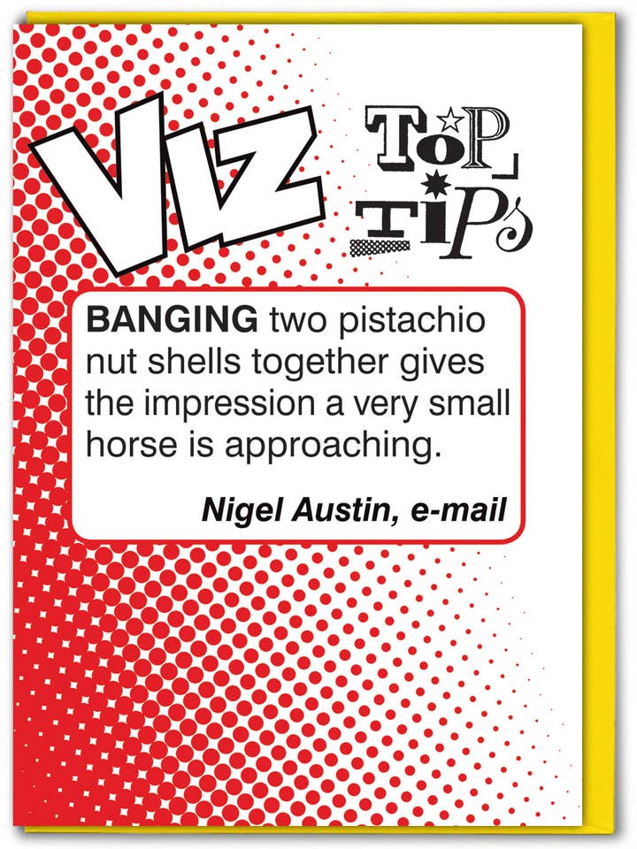 Salg Lille Hest Viz Top Tips Sjov Fødselsdagskort for engroshandel hos Brainbox Candy