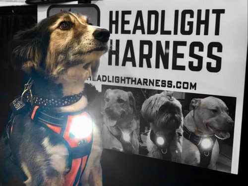 Headlight Harness - Wholesale Pet Harness - Dog - Headlight Harness LED  Reflective Dog/Cat Harness 18