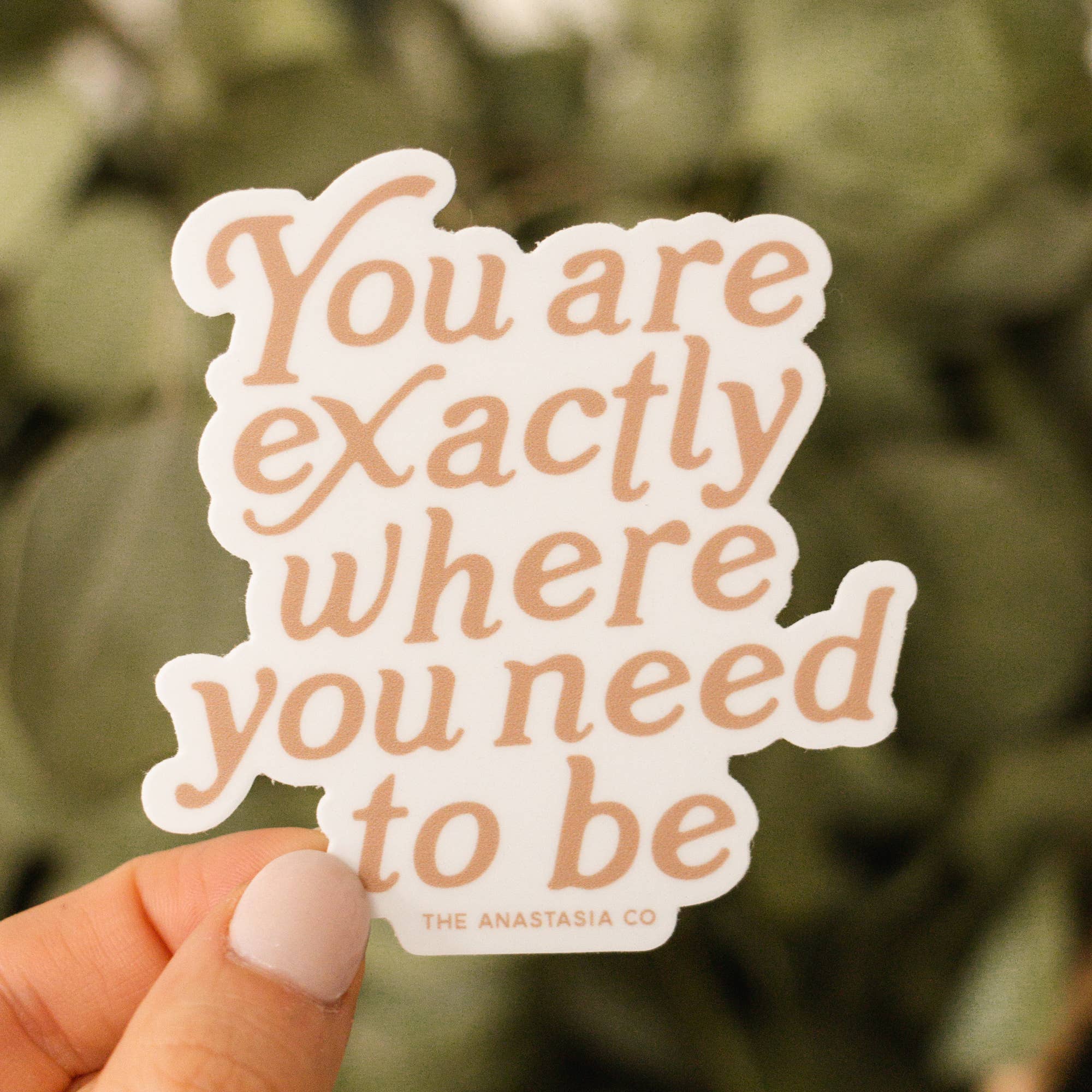 The Anastasia Co - Wholesale Sticker - You are Exactly Where You Need to Be Sticker1