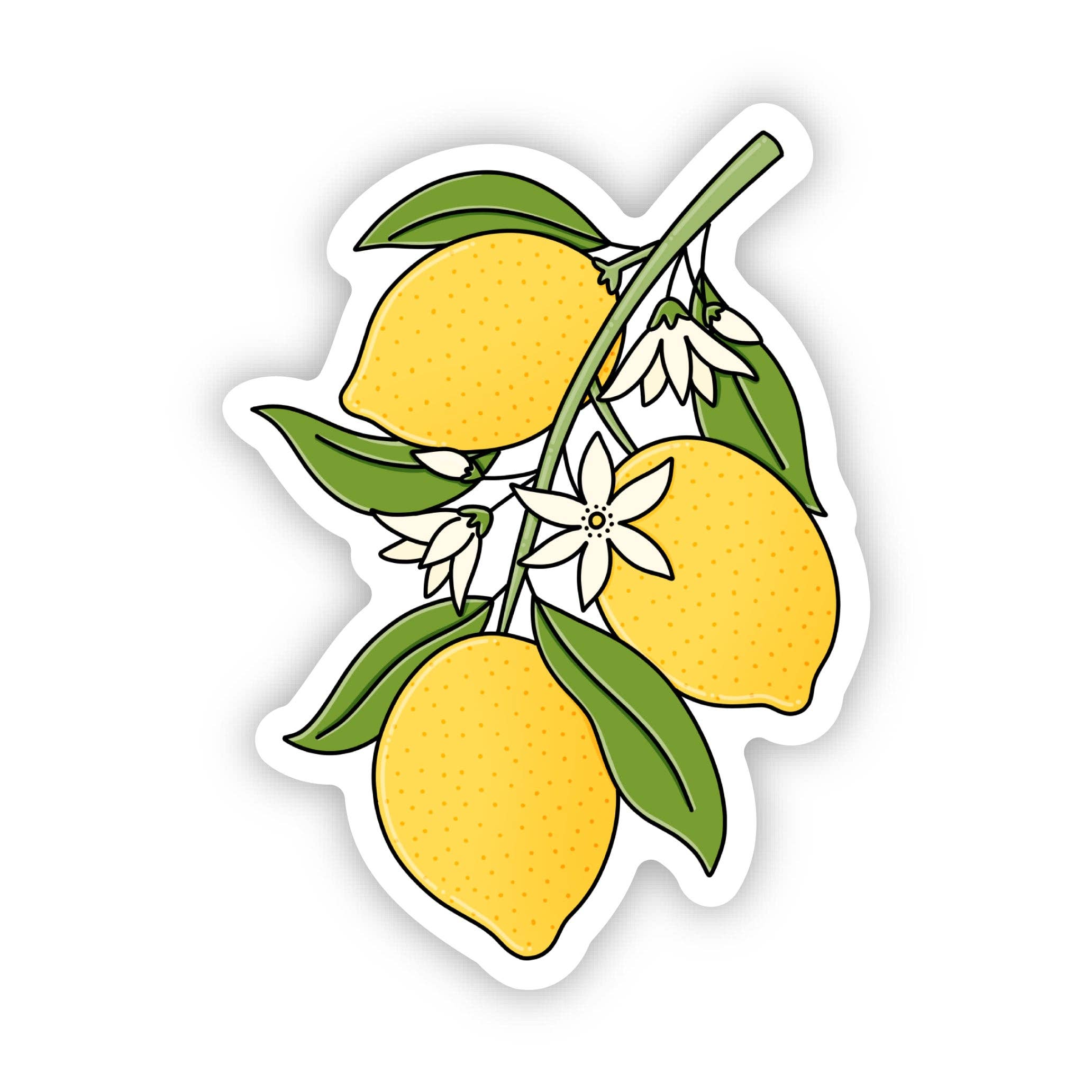 Big Moods - Wholesale Sticker - Lemon Branch Sticker1