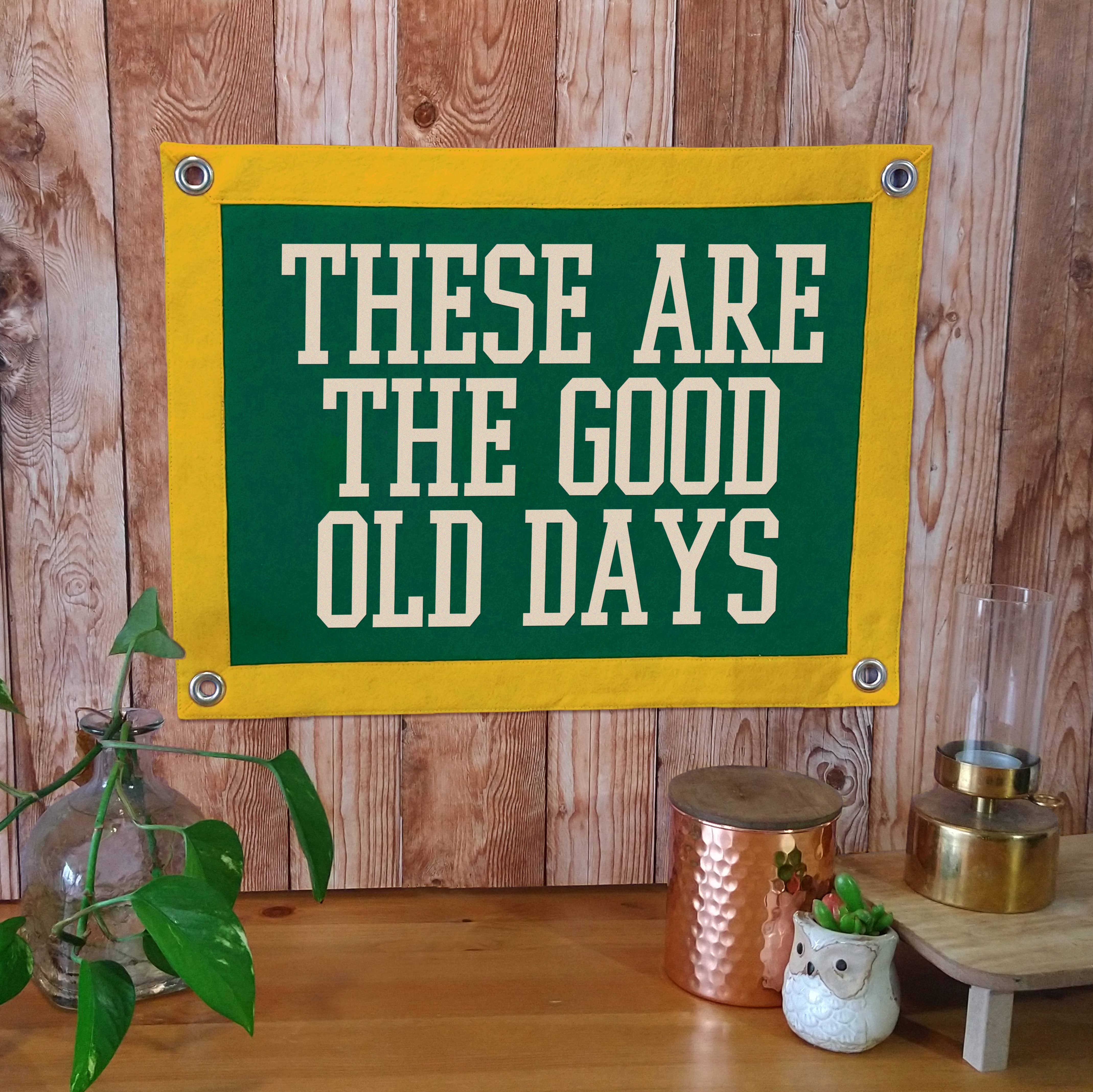 Pennant For Your Thoughts - Wholesale Banner - These Are The Good Old Days Camp Flag | Wall Hanging Banner3